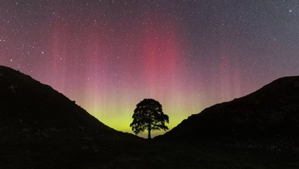 Sycamore Gap Tree at Hadrian’s Wall