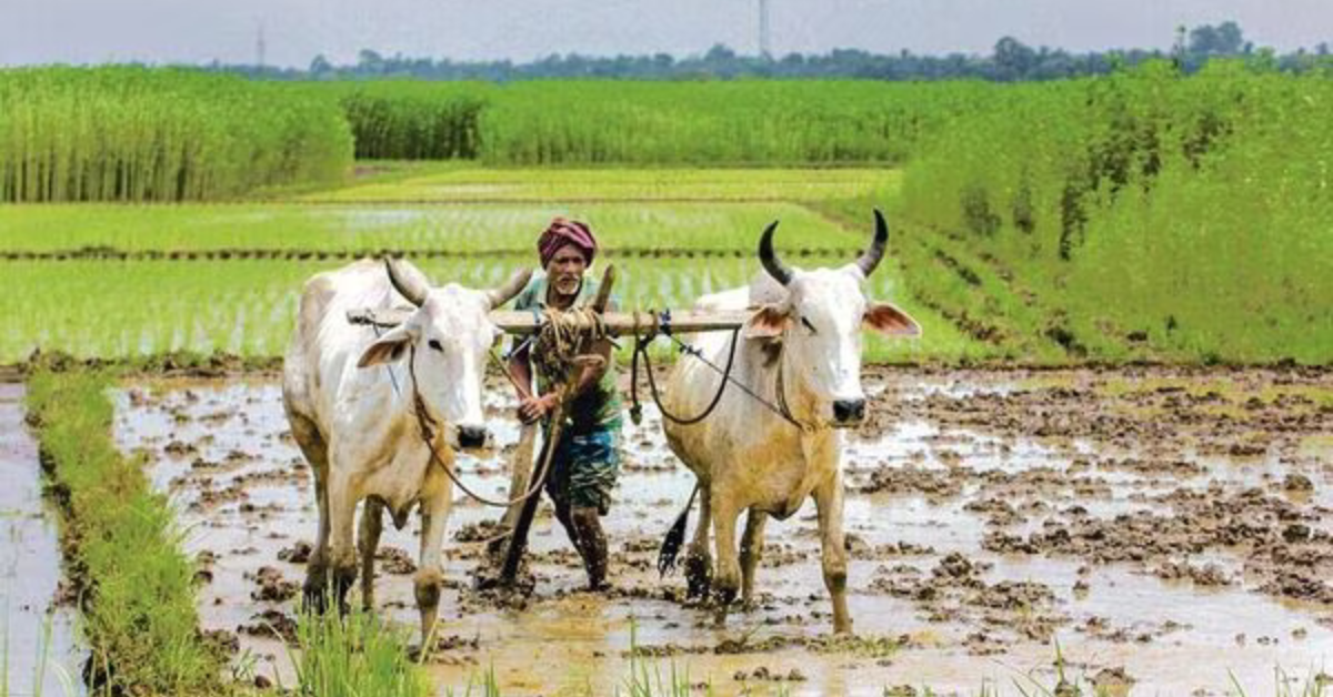 Brazil-India Collaborate on Food Security