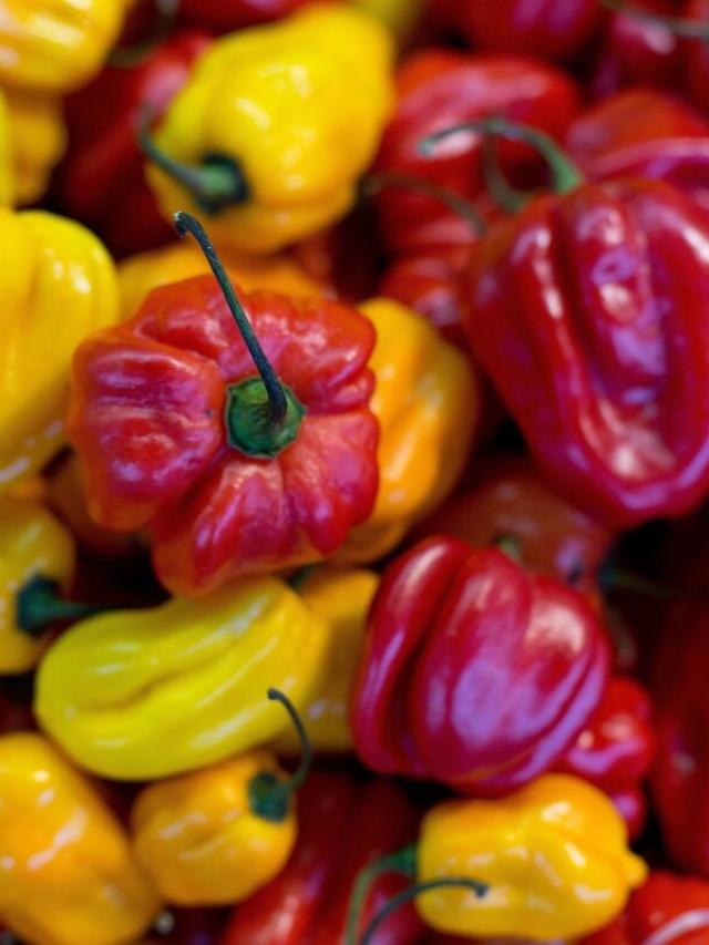 Pepper X: Dethroning the Carolina Reaper