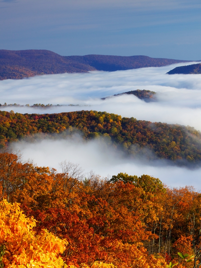 Exploring the United States during the fall season: where should you go?