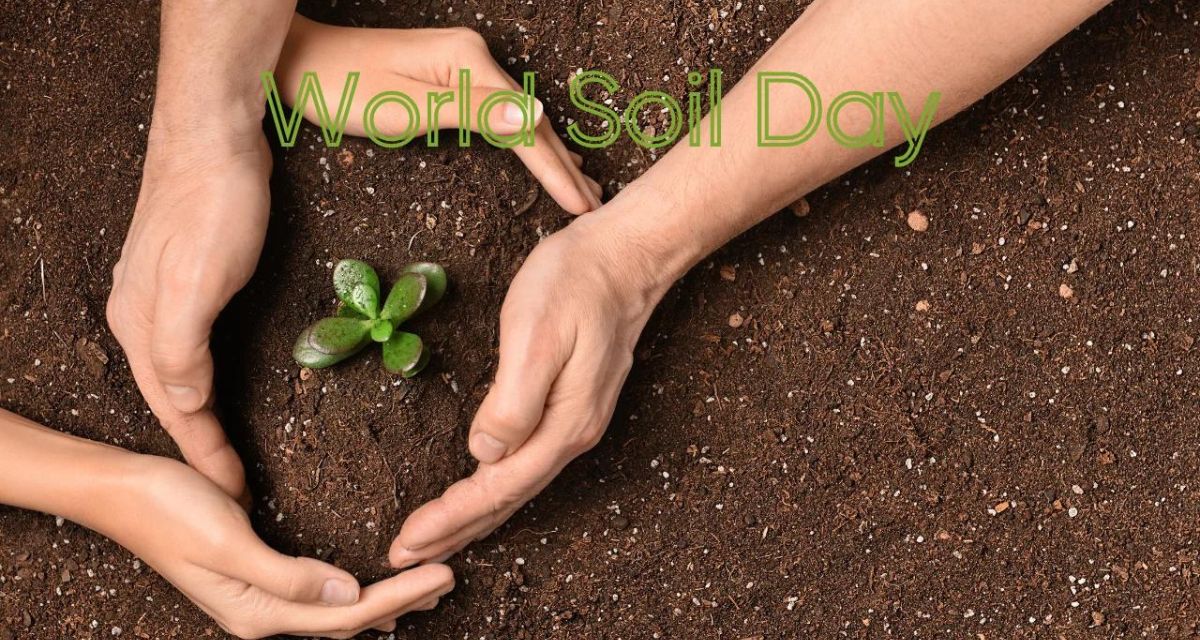 World Soil Day 2023