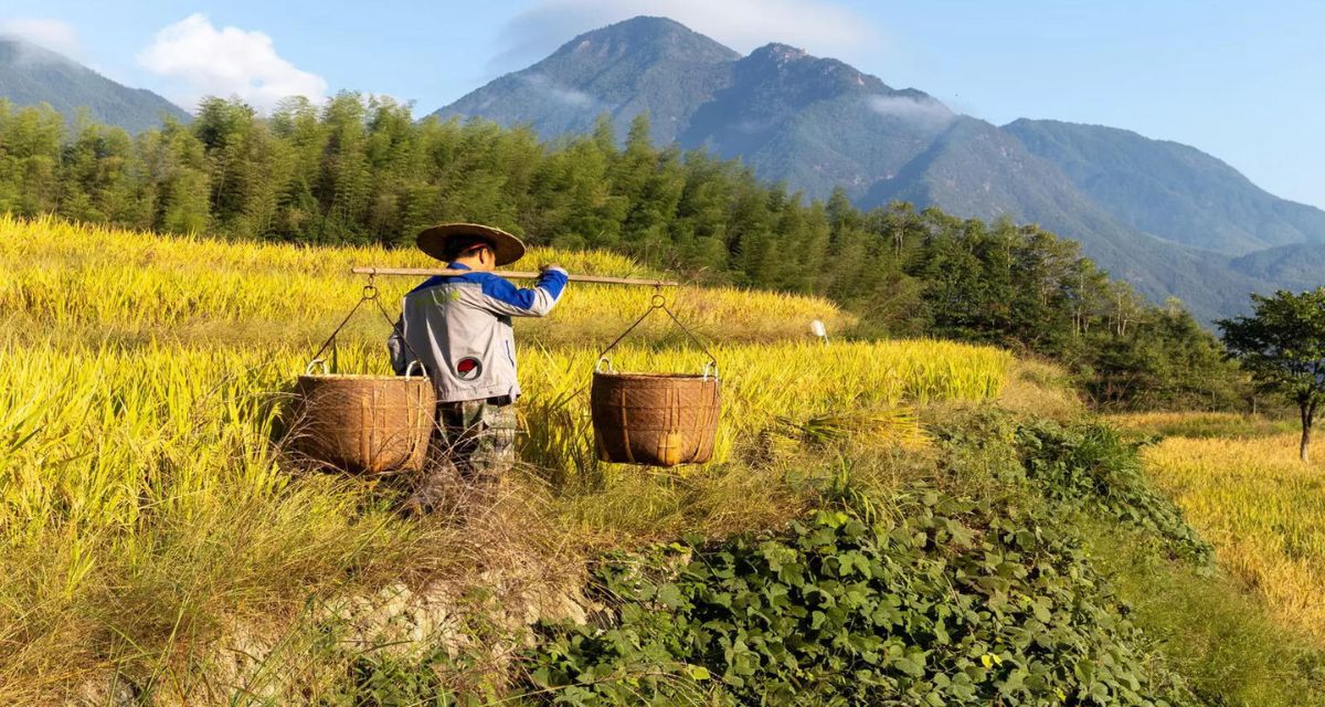 National Farmer's Day